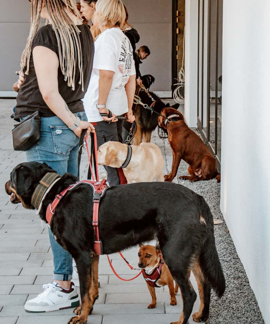 Trainingsplatz · HUKO